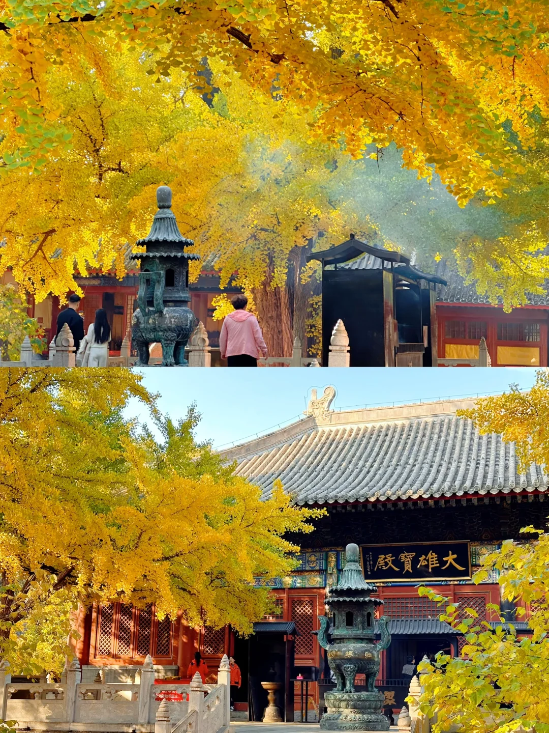 红螺寺10.24实况，银杏加载80%，附路线