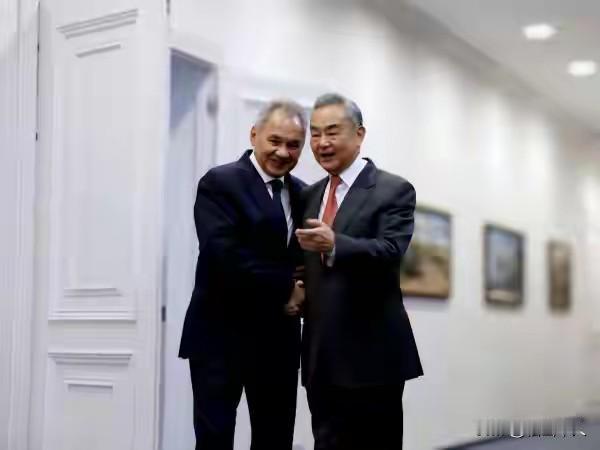 俄罗斯联邦安全会议秘书绍伊古：军国主义九头蛇再次抬头，但俄罗斯和中国在斩断其头颅