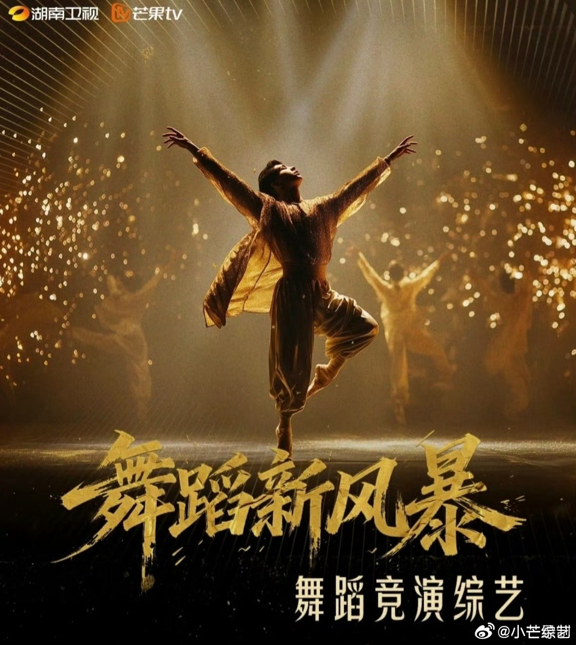 舞蹈新风暴舞蹈新风暴 7月21-22号录制主持人：何炅、吴泽林常驻嘉宾：杨丽萍、
