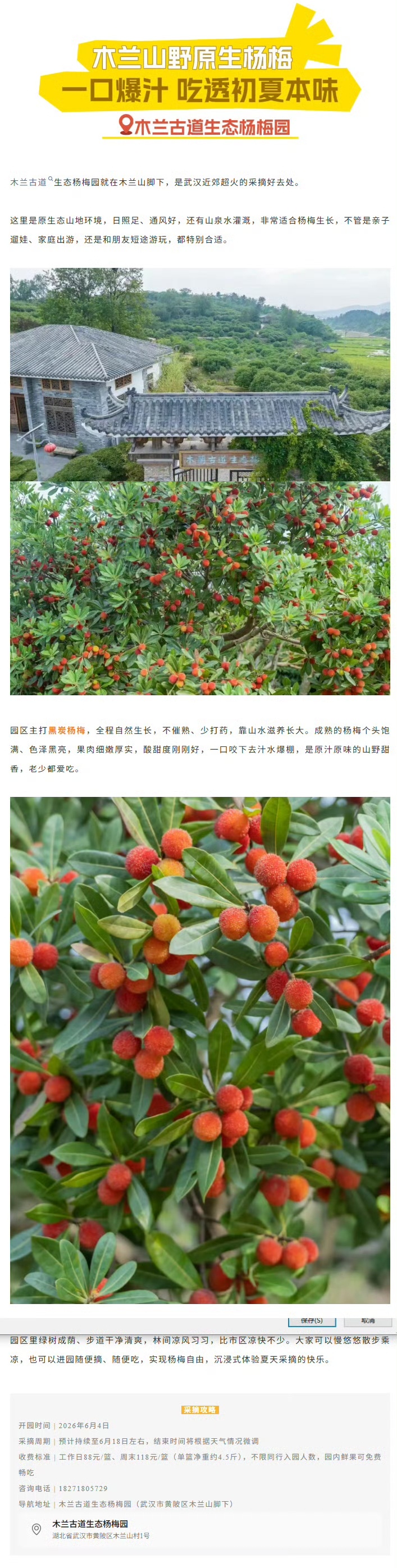 武汉城市漫游攻略 【@ 所有人  不要慌、不要急，武汉采摘来黄陂 ！】武汉夏天的