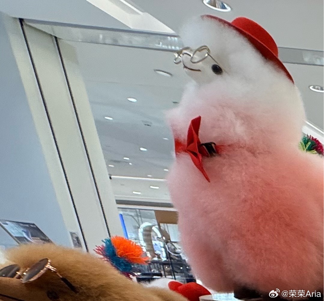 微光成炬，向善而行。 