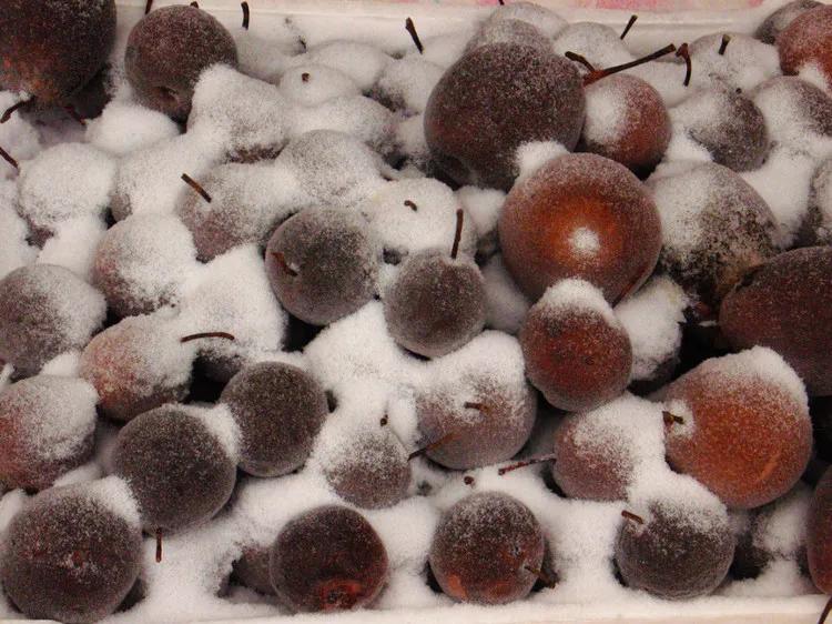 终于弄明白了
冻梨和普通梨有什么区别。不是梨的品种变了，也不是东北人培育的新品种