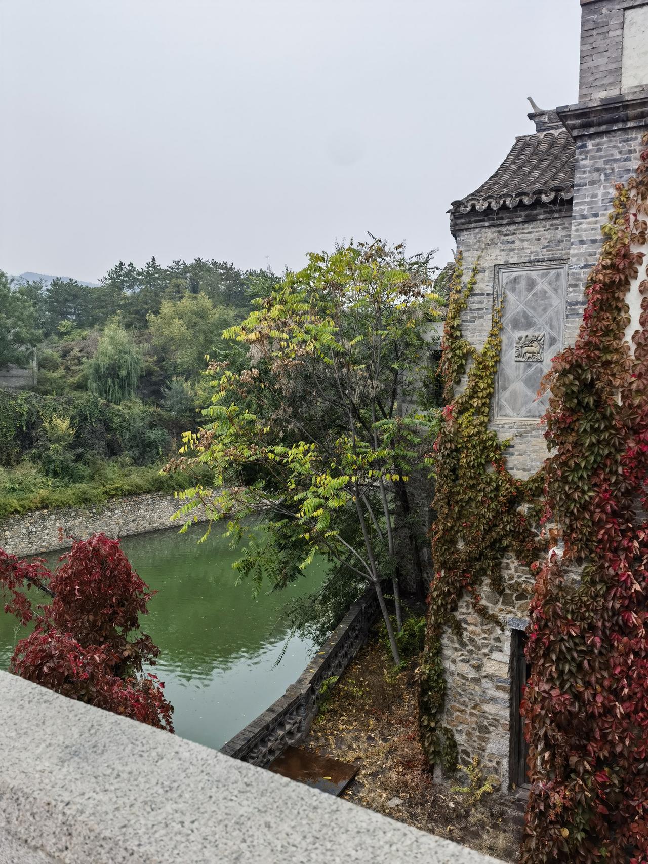 叶非叶、花非花的感觉最奇妙