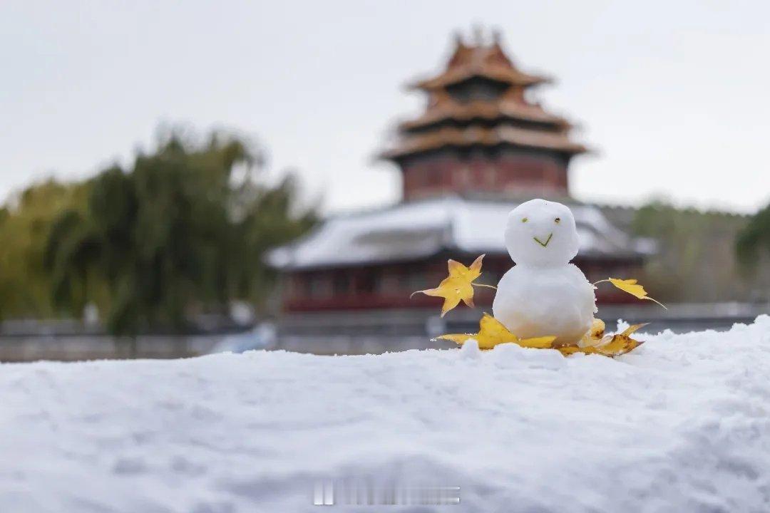 北京初雪来了北京初雪来了！街头巷尾银装素裹，故宫角楼落雪如画，胡同里的冰糖葫芦冒