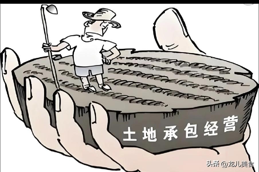 2027年二轮承包到期速览：有承包地农户必看，一文吃透延包要点
 
2027年全