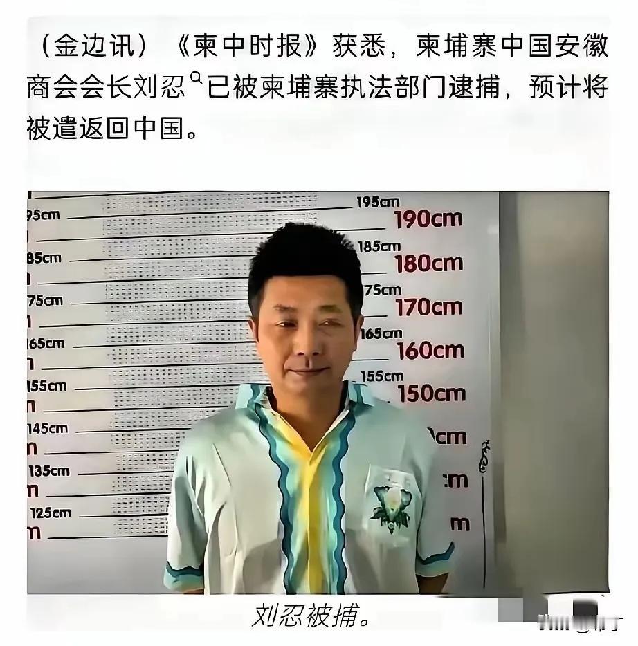 最可怕的内鬼终于浮出水面！柬埔寨电诈园区的幕后大佬，竟然是我们信任的商会会长。把