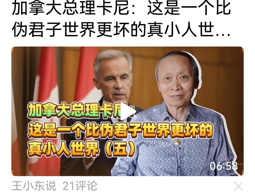 王小东分析加拿大总理卡尼“这是一个比伪君子更坏的真小人世界”。在我看来，真小人比