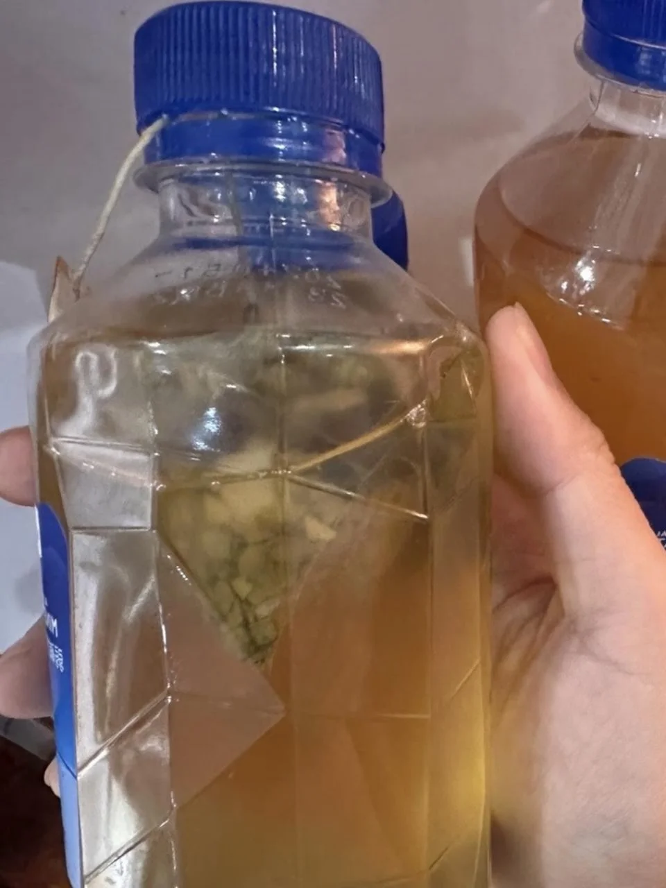 上班想喝茶怎么办！！！！！