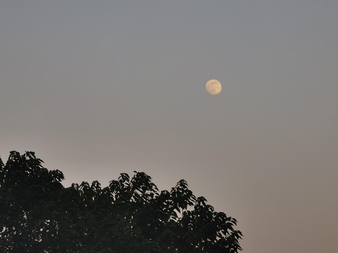 女人这辈子，最核心、最不可动摇的基石是靠自己。当自己拥有清醒的头脑、健康的身心、