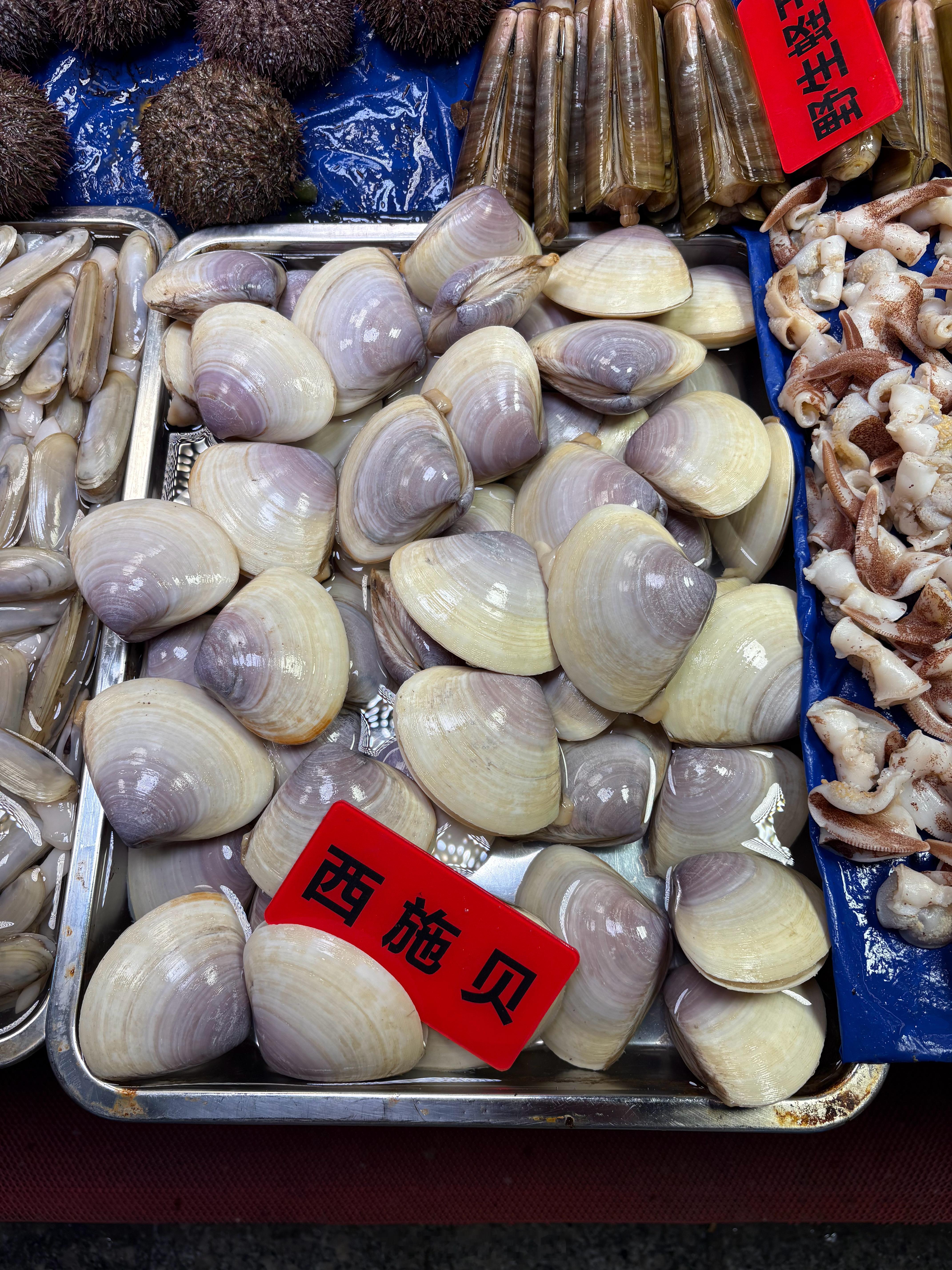 北方沿海的“西施舌”通常是指名为 西施舌/Mactra antiquata 的贝