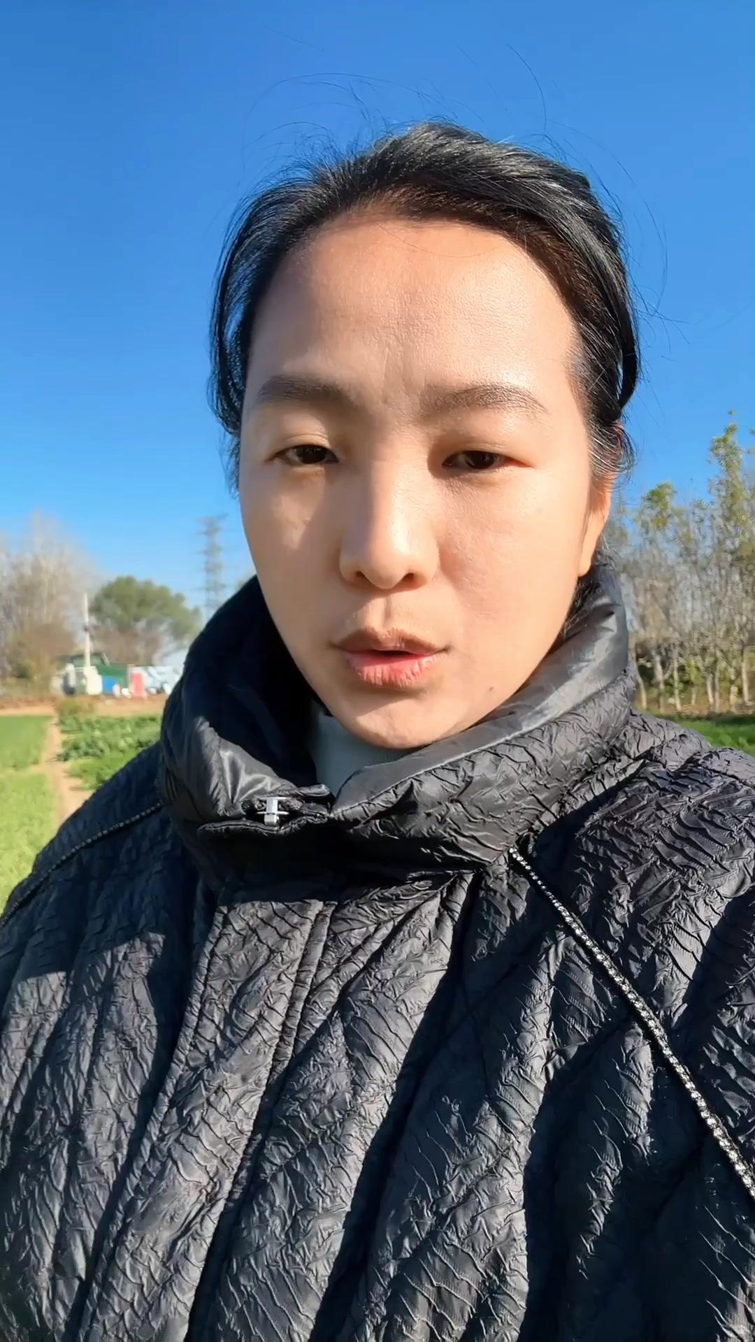 冬季莴笋移栽指南，新手也能学会！🍃越冬莴笋现在正是移栽好时候，分享几个关键步骤