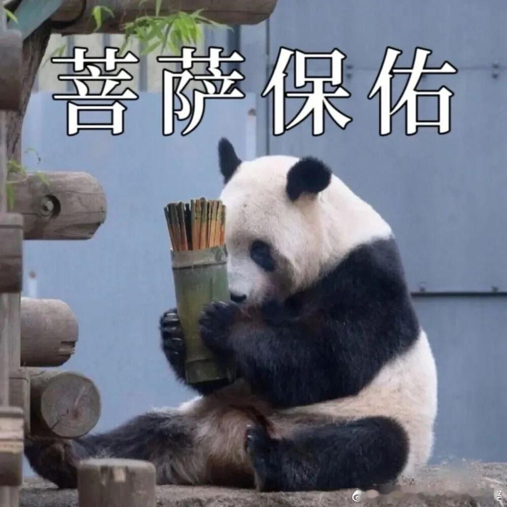 王星自曝在缅甸手机被人拿走刷网贷有一个机智美丽的女友真是他这辈子最大的福气，祝福