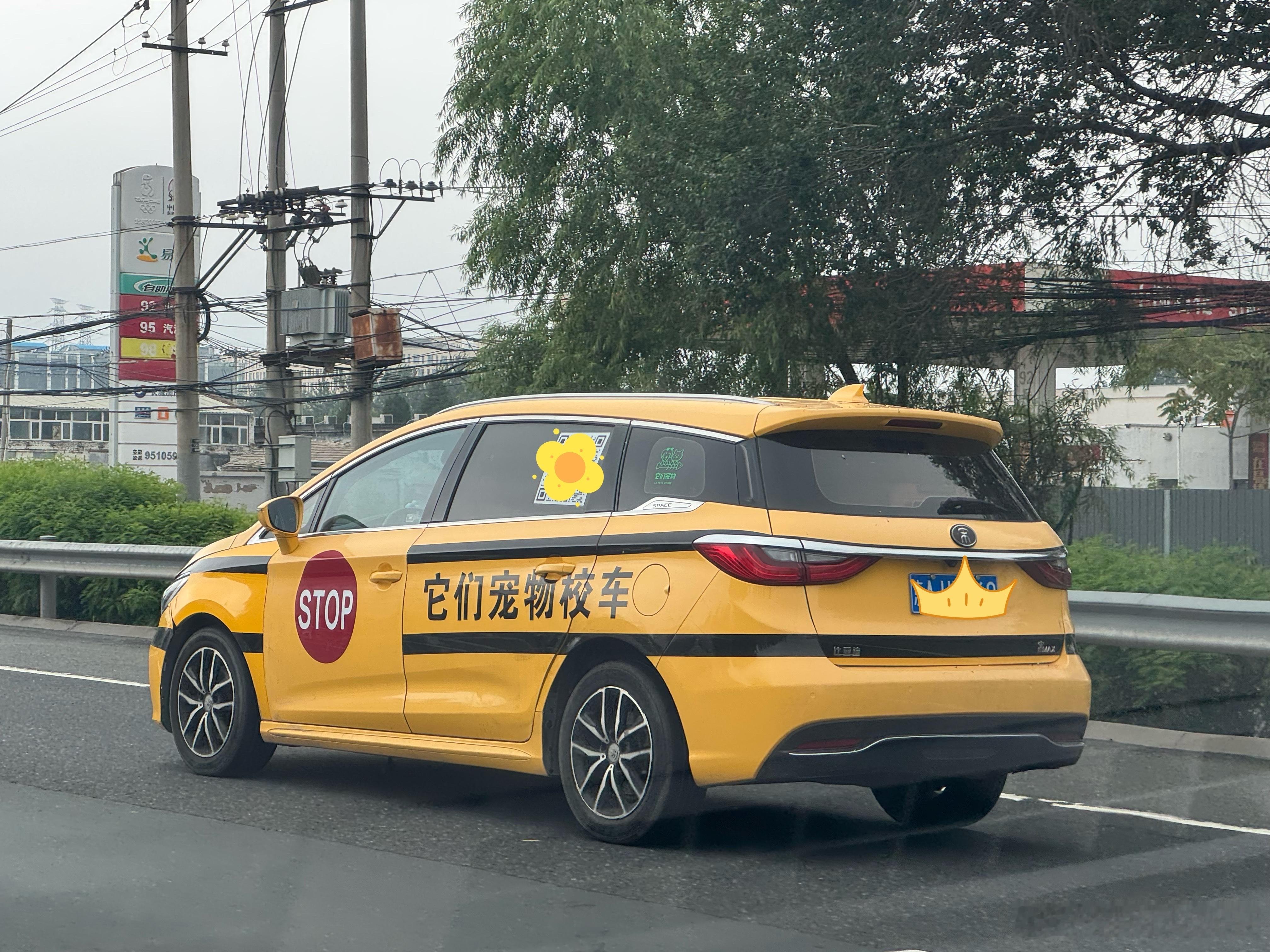 谁家崽这么卷，暑假不放假还坐校车上学[喵喵]与倪分享不对劲系列 ​​​