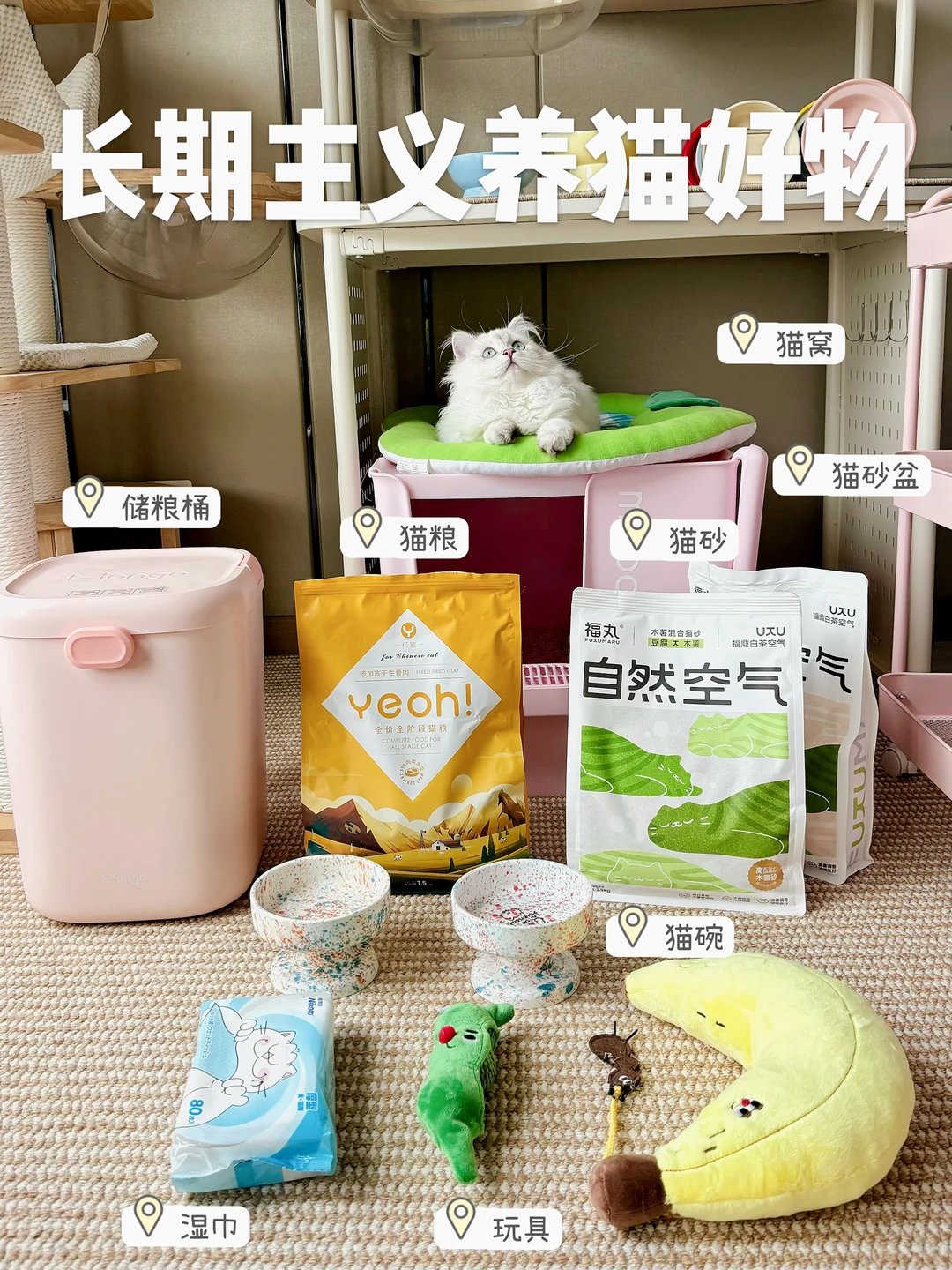 🎀share  | 长期主义必备养猫好物