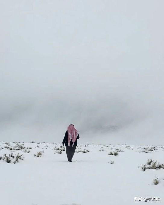 近日，沙特阿拉伯西北部的塔布克地区（Tabuk）出现了罕见的降雪，这一现象引发了
