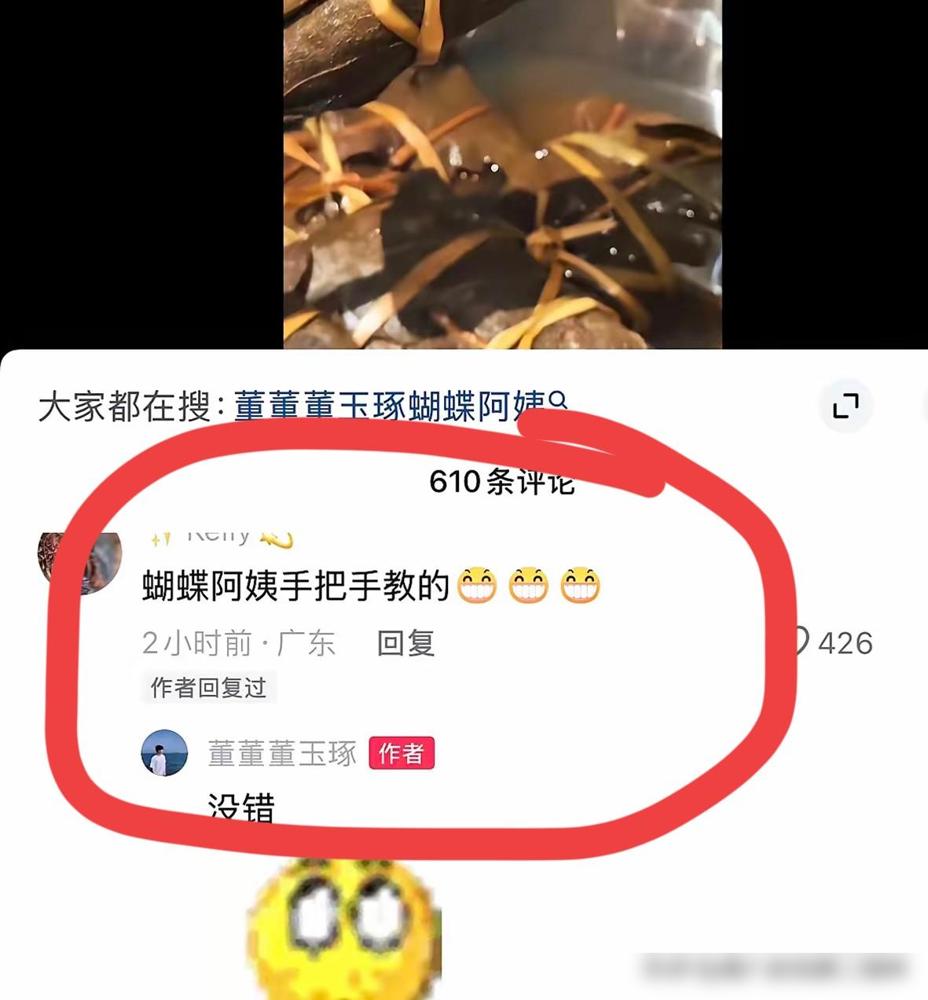 董董终于是忍不住了！把在端午节拍的宇辉妈妈包粽子的视频发出来

我之前真的不知道