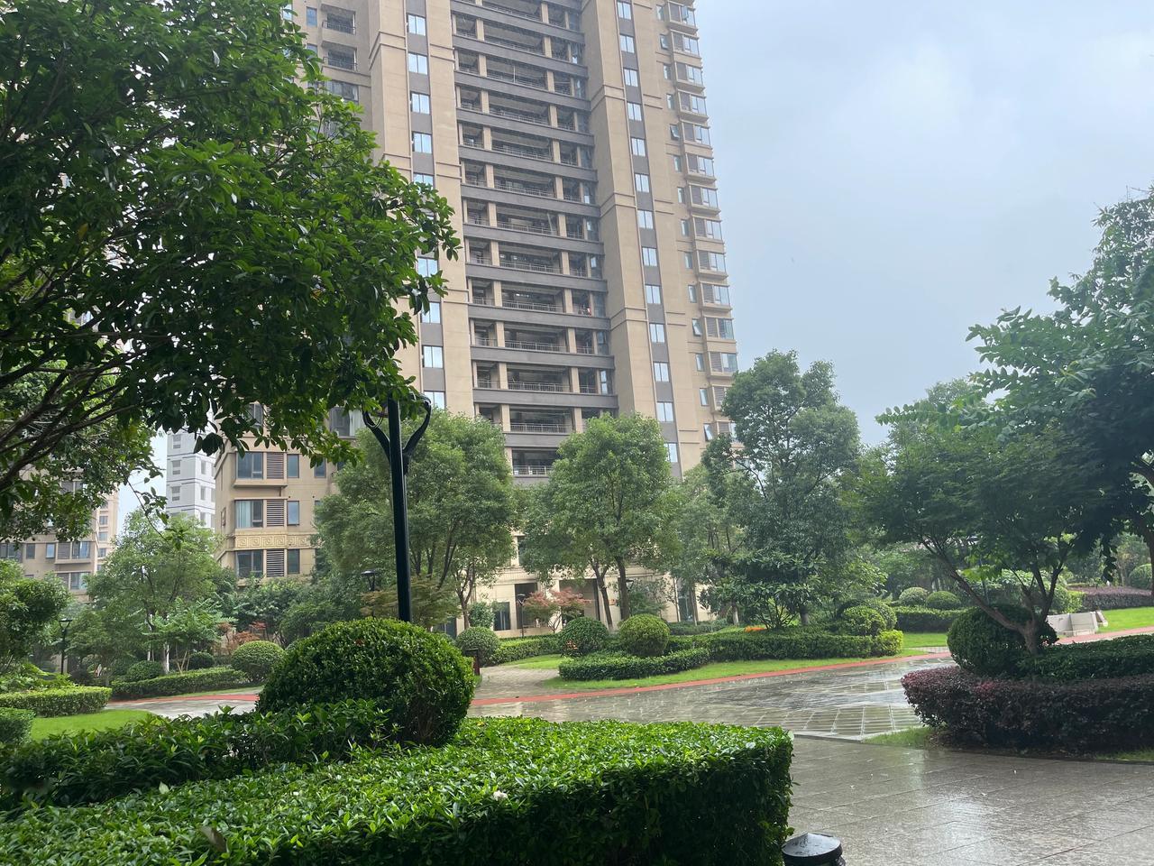 #暴雨来袭# #多灾多难#