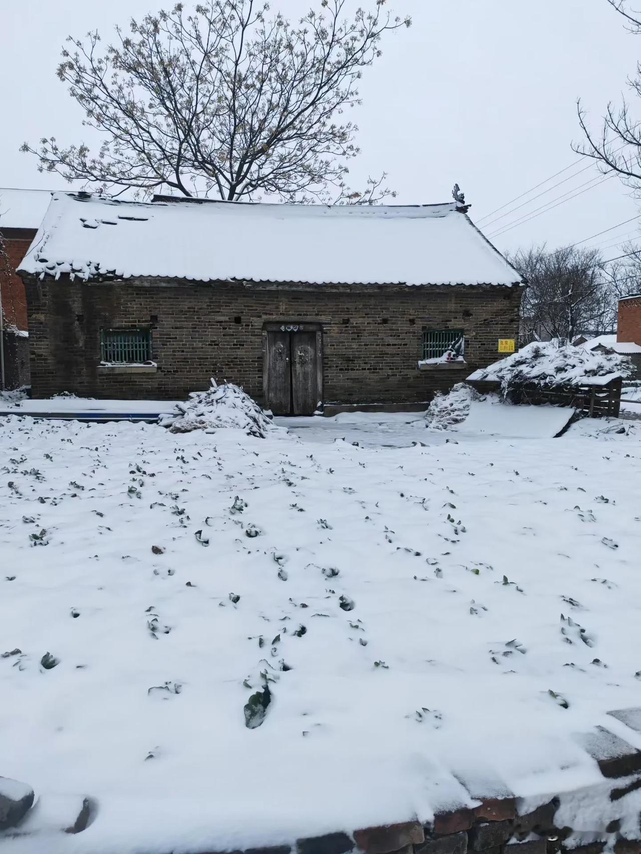 河南南阳邓州2026年第二场雪，农村雪景看着真是漂亮，看到此景你能想起小时候的情
