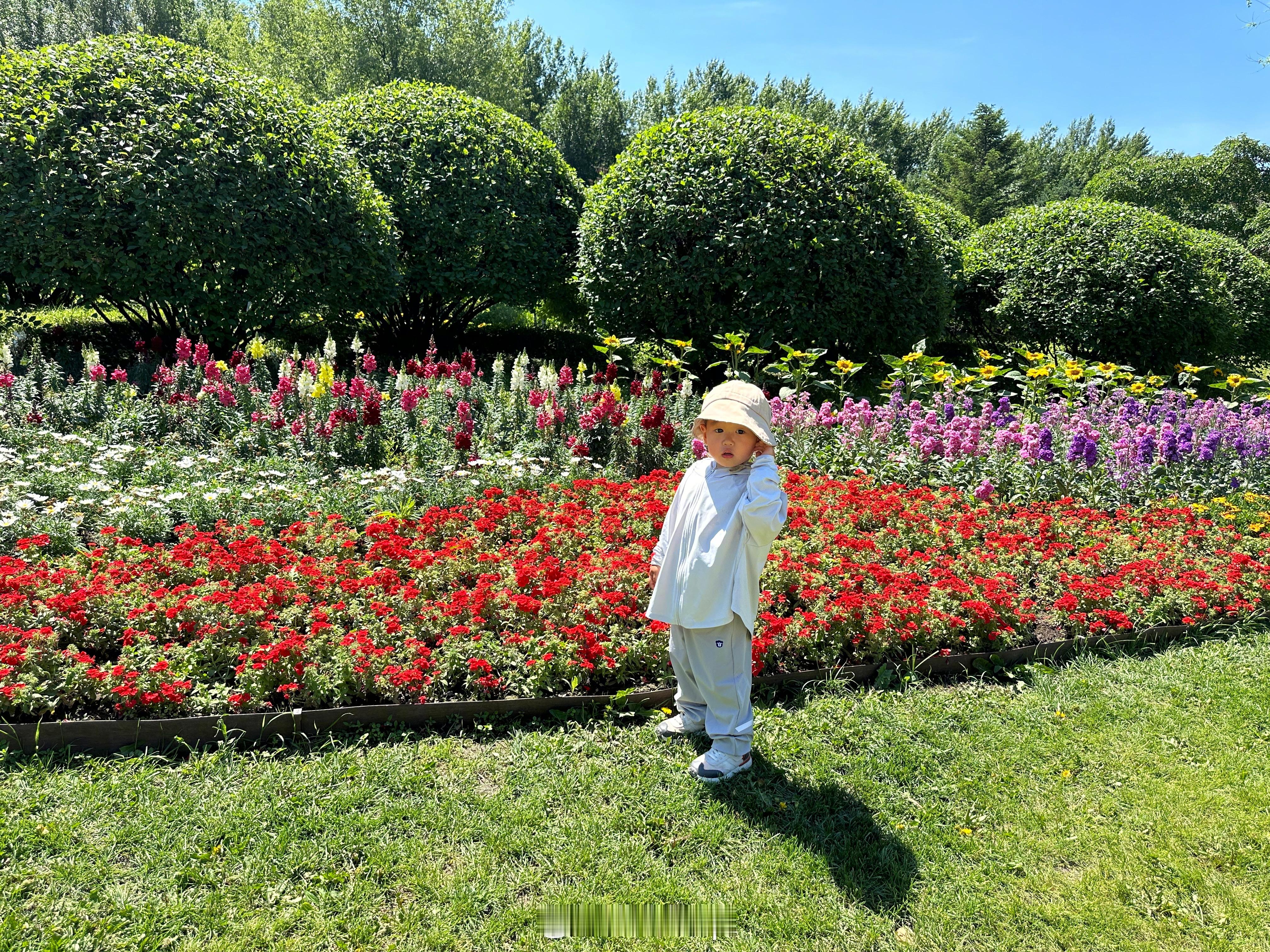 带儿子去百花园溜达下，小伙子对花真是一点兴趣也没有。倒是一路给我认车标！现在他出