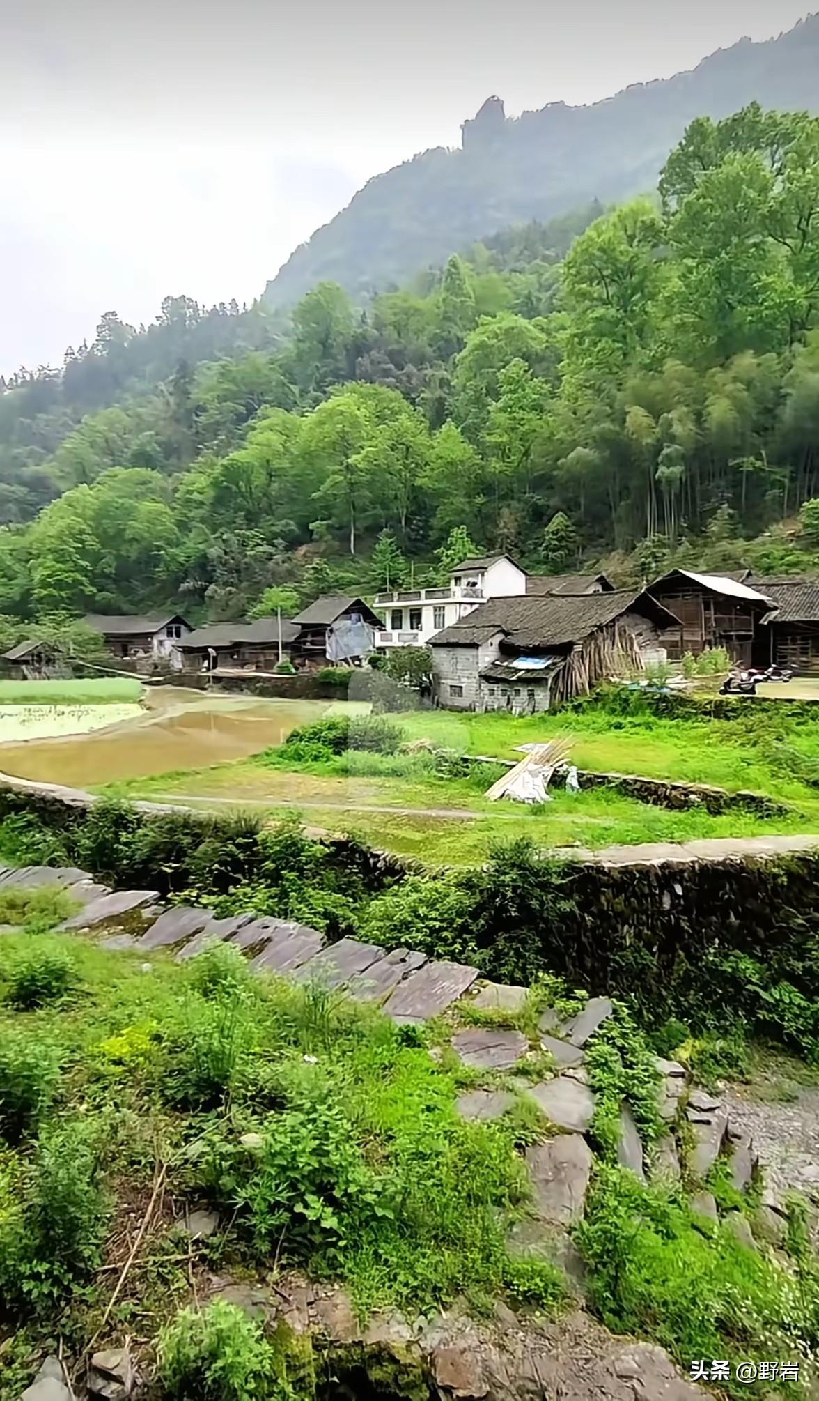 读懂这九种处世心法，卸下包袱，心境宽了，生活自然步步向好。
 
跟父母，不执完美
