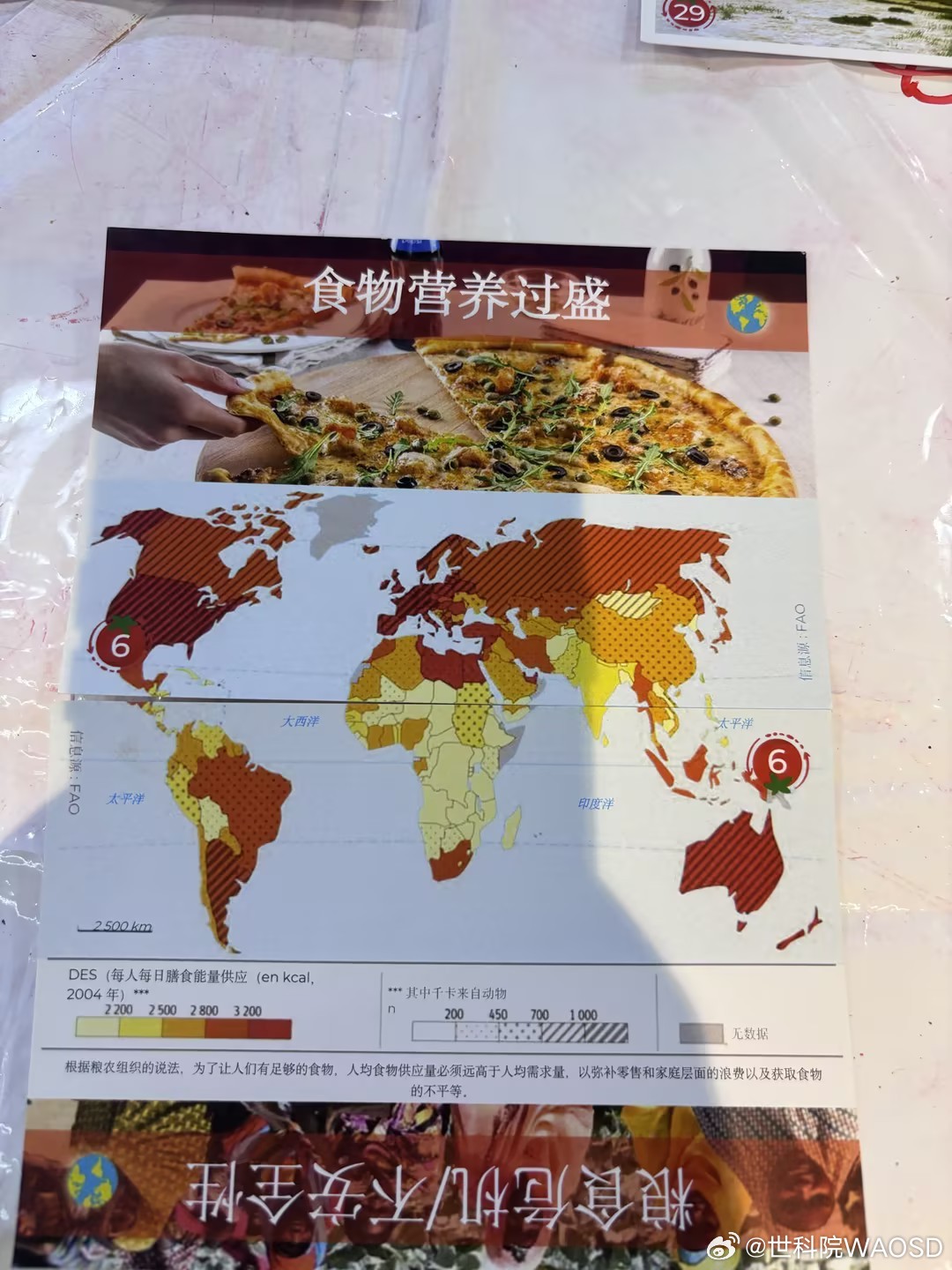 可持续拼图 世科院绿桌工作组沉浸式拆解永续之道：每一块拼图，都是地球的未来🧩?