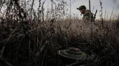 立陶宛退了，爱沙尼亚退了，就连波兰都退了，波罗的海三傻平时没个正型，但是在关键时