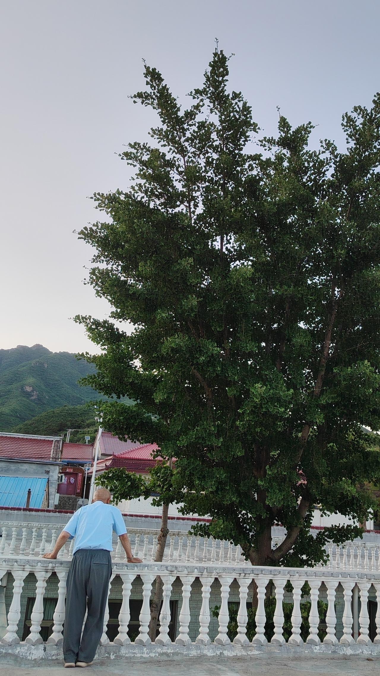 生命是一场漫长的旅程

我们都是过客，也是归人，更是那个总是在迷路的人。不要因为