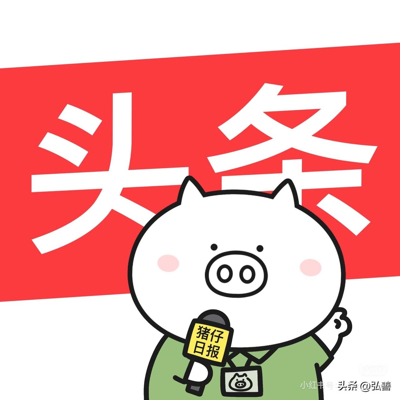 我在头条坚持打卡都500多天啦，可不是短短30天能比的！这一年多，每天发作品打卡