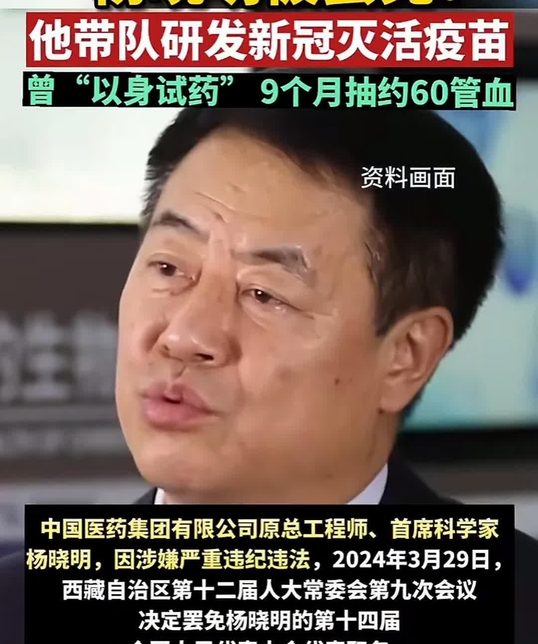 口罩时期，各地大停摆的一切突然间全放开了，几乎没有征兆。你以为他们是醒悟了吗？发