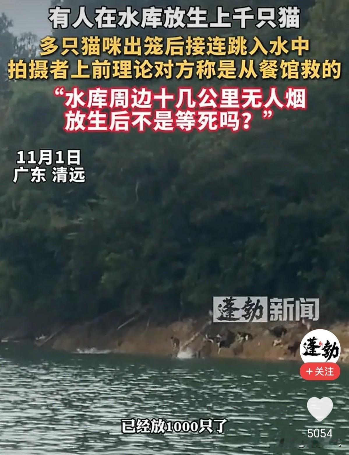 这群搞放生的本来就是一群诈骗组织，跟“善”没有一点关系，他们有一套完整的盈利模式