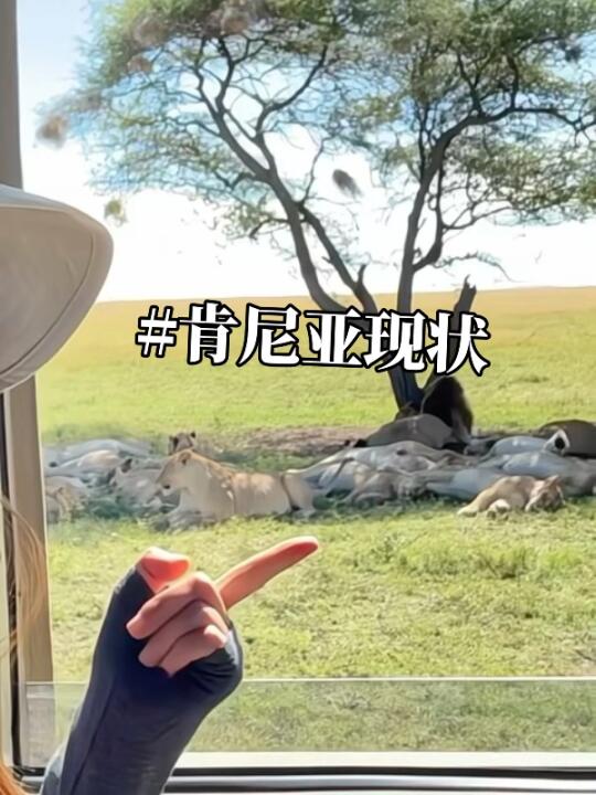 肯尼亚逃难已回，尽早改行程吧。。。