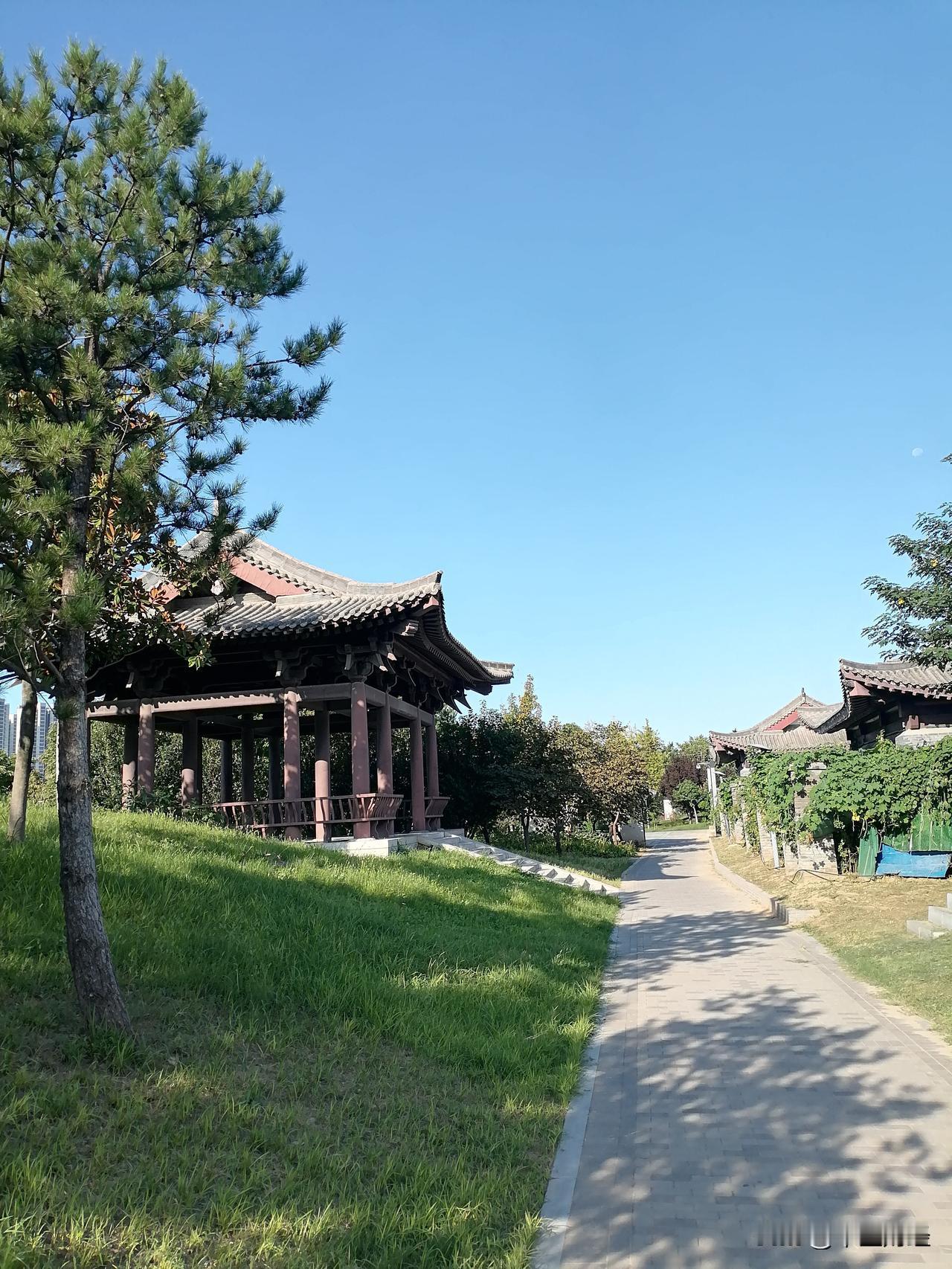 晒图笔记大赛历史的天空！