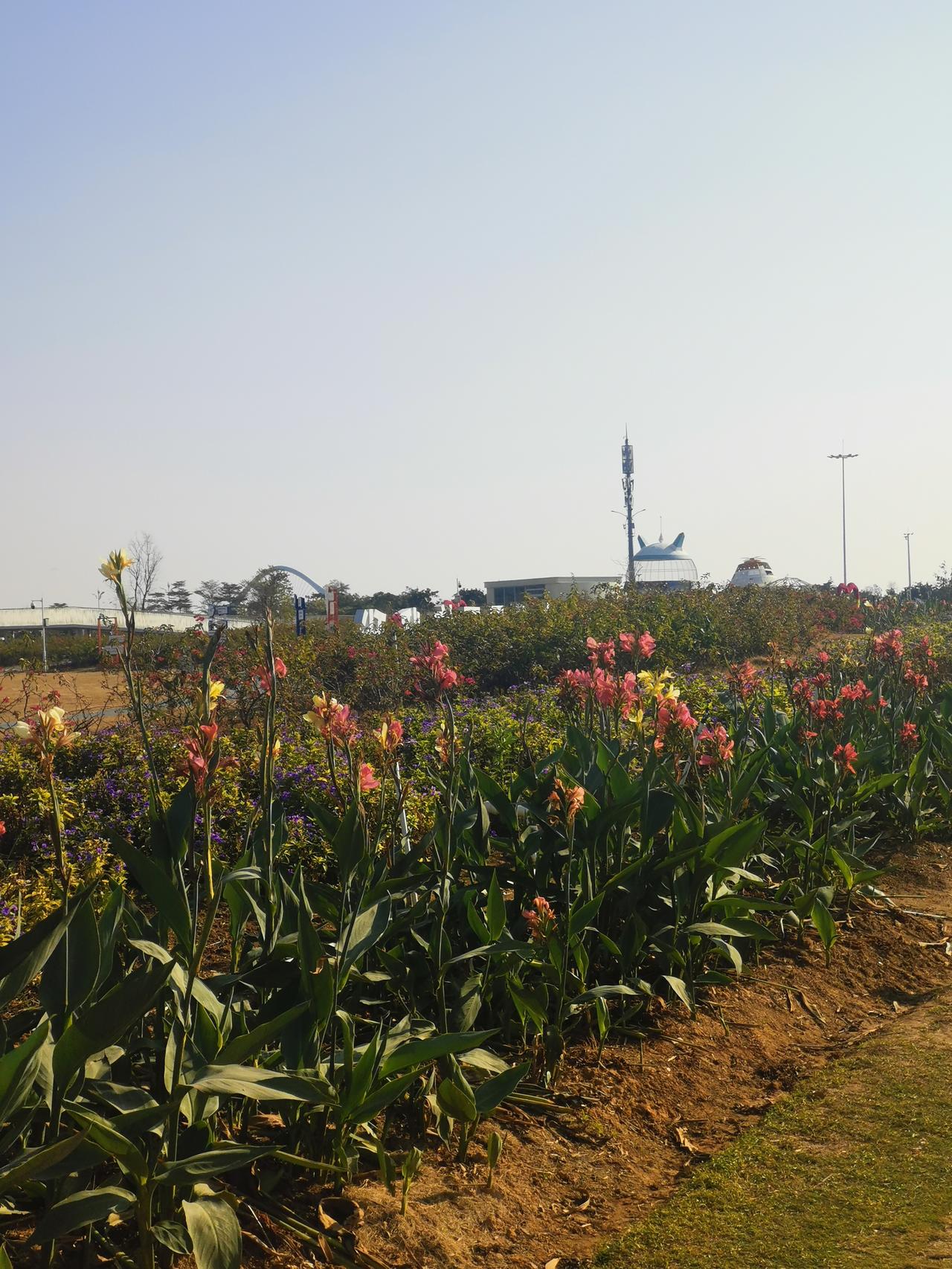 今年春天最想实现的心愿俗话说得好：种瓜得瓜，种豆得豆。今年春天种几颗甜瓜试试，希