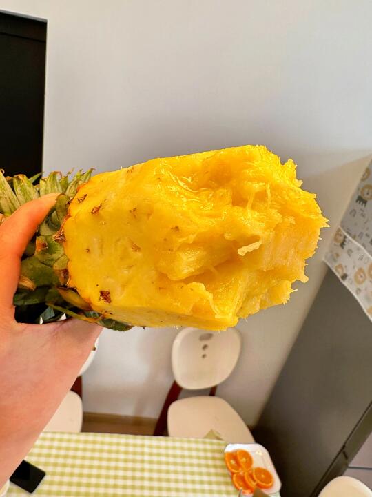 好遗憾❗️我家不催熟的凤梨要下市了