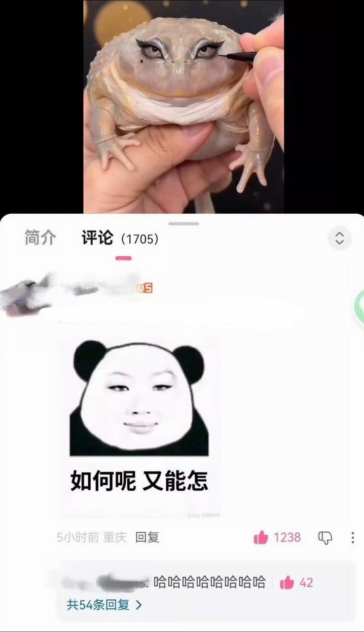 分享图片 ​​​
