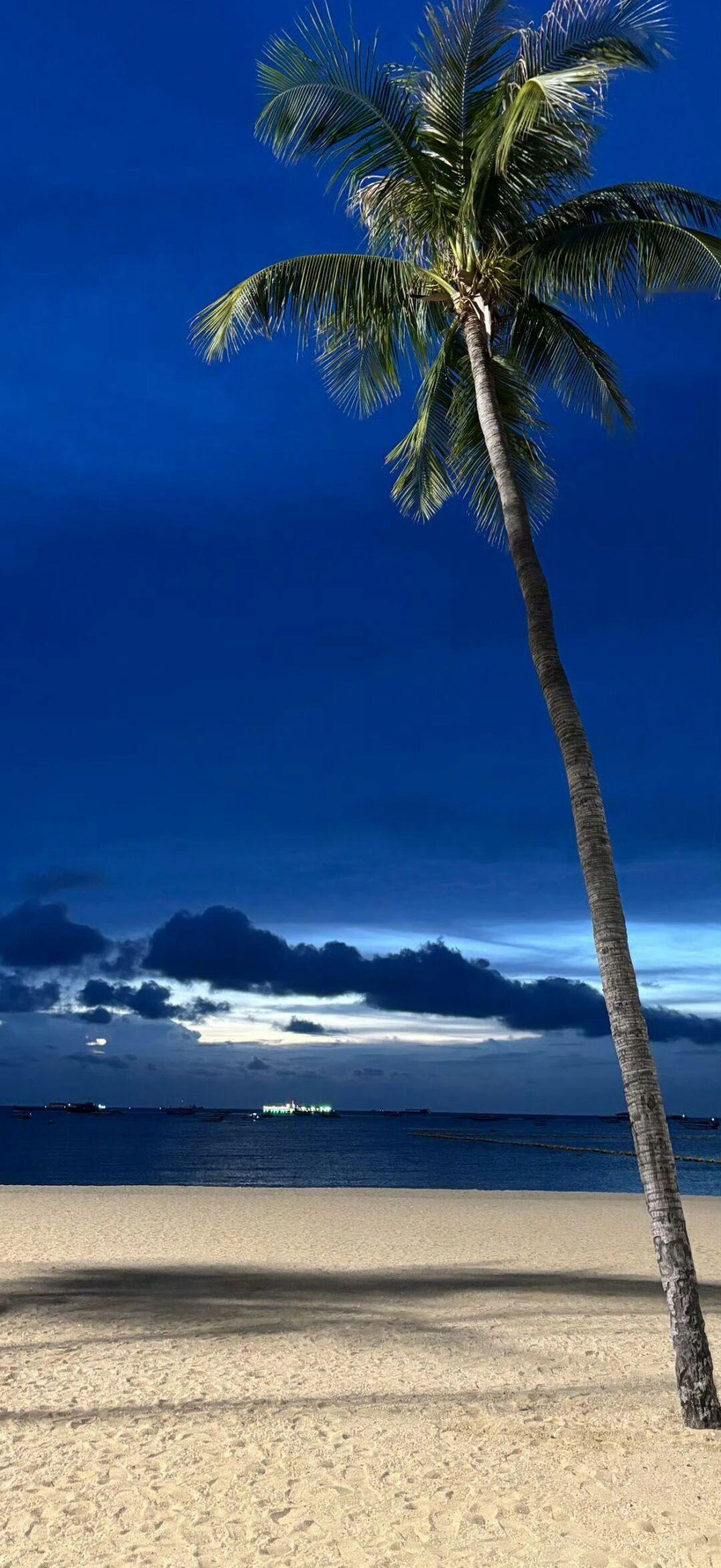 𝘀𝗵𝗮𝗿𝗲 𝙒𝙚𝘾𝙝𝙖𝙩 wallpaper 壁纸分享 i