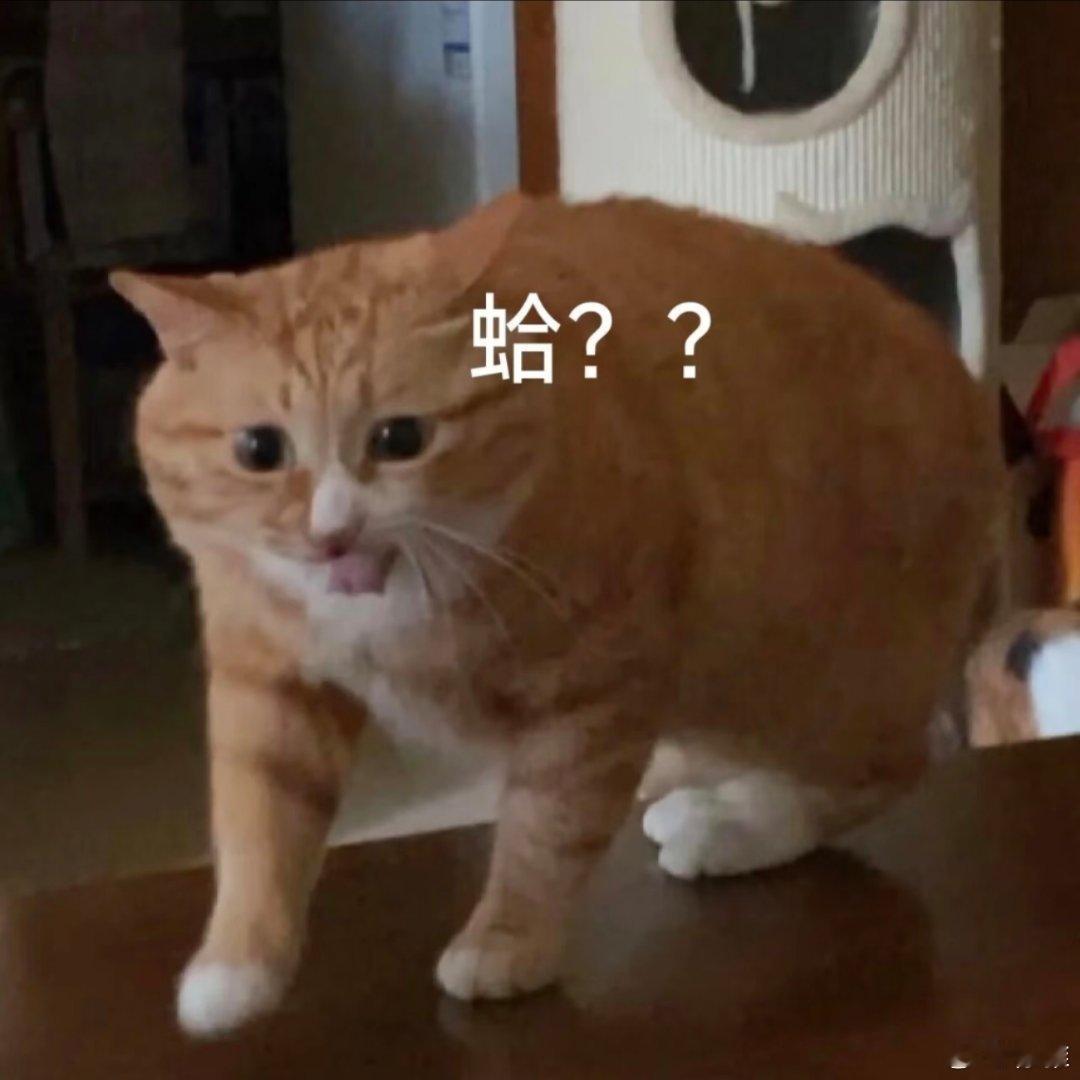 搞笑表情包。 ​​​