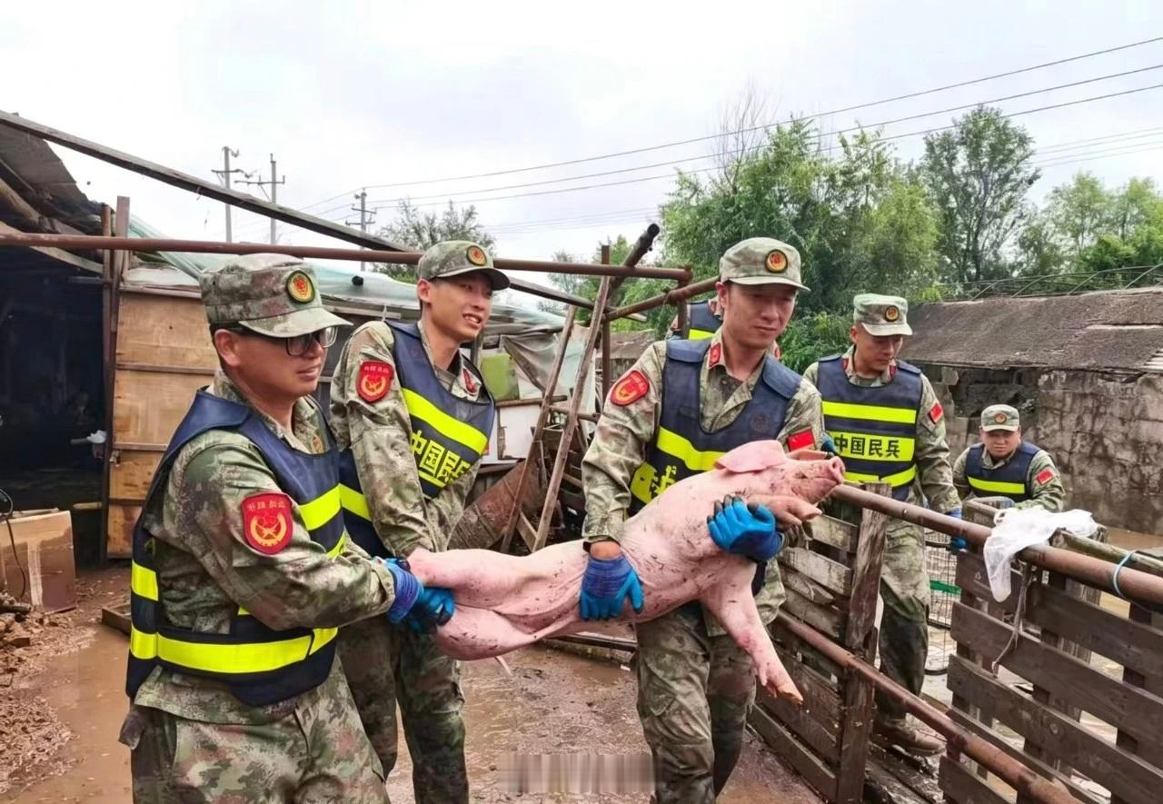 抚顺清原干群同心筑牢防汛防线【抚顺清原县人民武装部成功转移群众财产】7月15日上