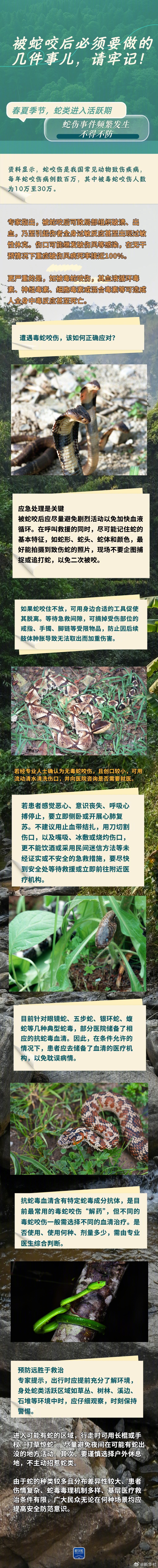 【请牢记！#被蛇咬后必须要做的几件事#】春夏季节，蛇类进入活跃期，蛇伤事件频繁发