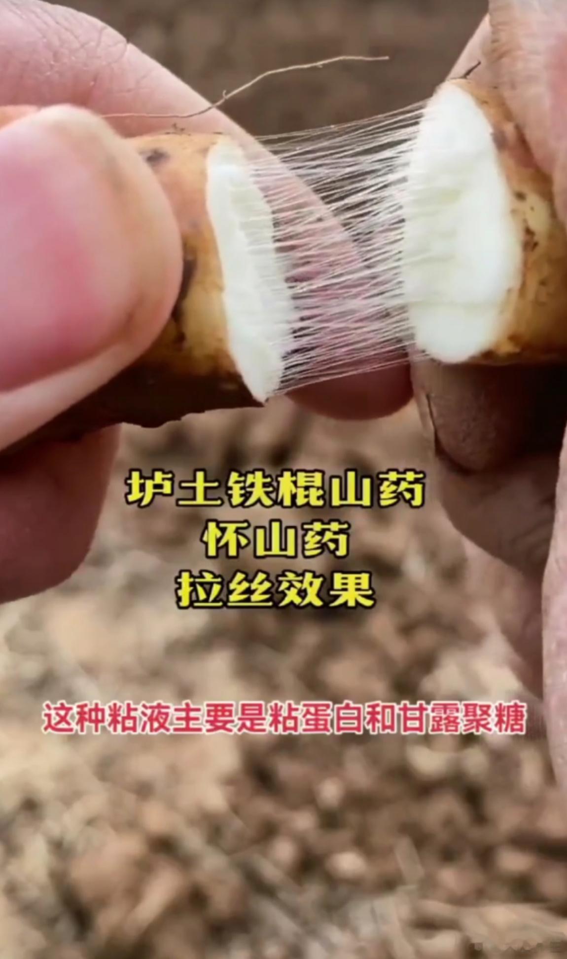 医圣张仲景“补药之王”，太狠了，越虚效果越好医圣张仲景有个经典补药方薯蓣丸，原文