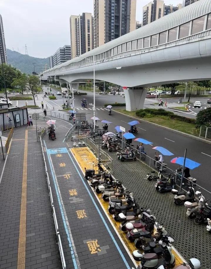 现在这种行情他们一个月能赚多少钱 