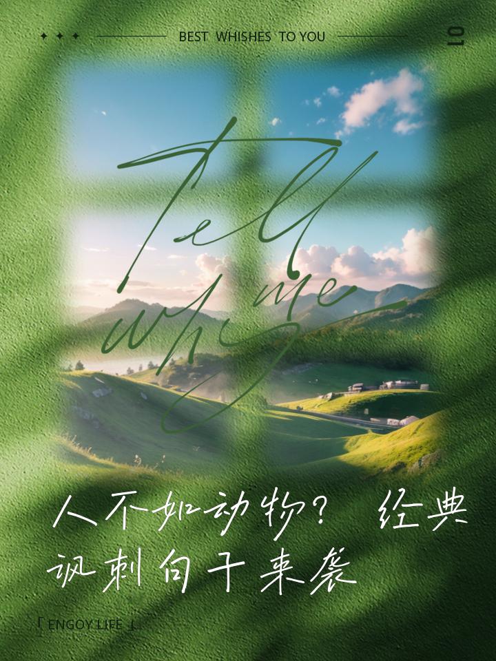 今日是被温柔包裹的平凡一天。清晨被窗台的鸟鸣唤醒，阳光透过窗帘缝隙，在地板上织出