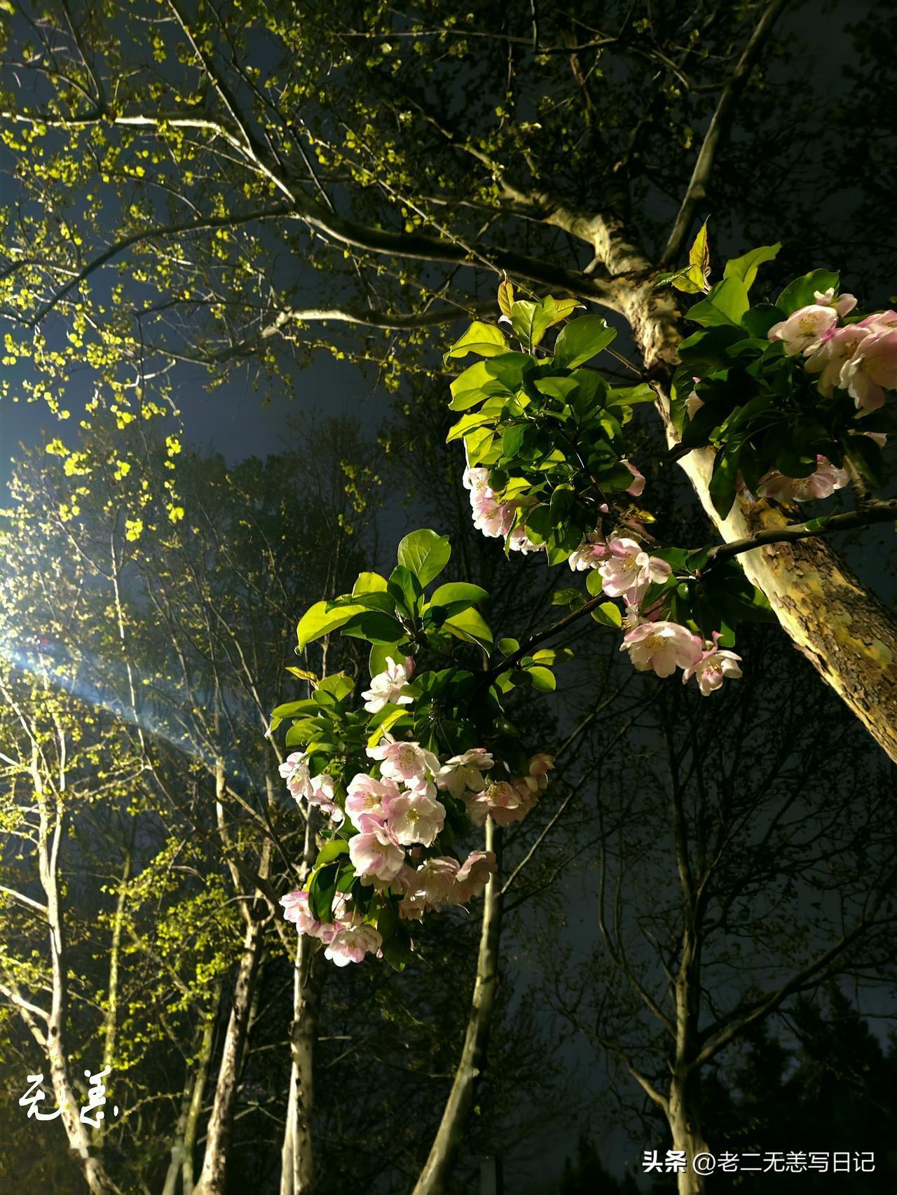 我问一下正在头条的您，
这一段时间挣加油包了没？
用加油包了没？
有效果没？
我