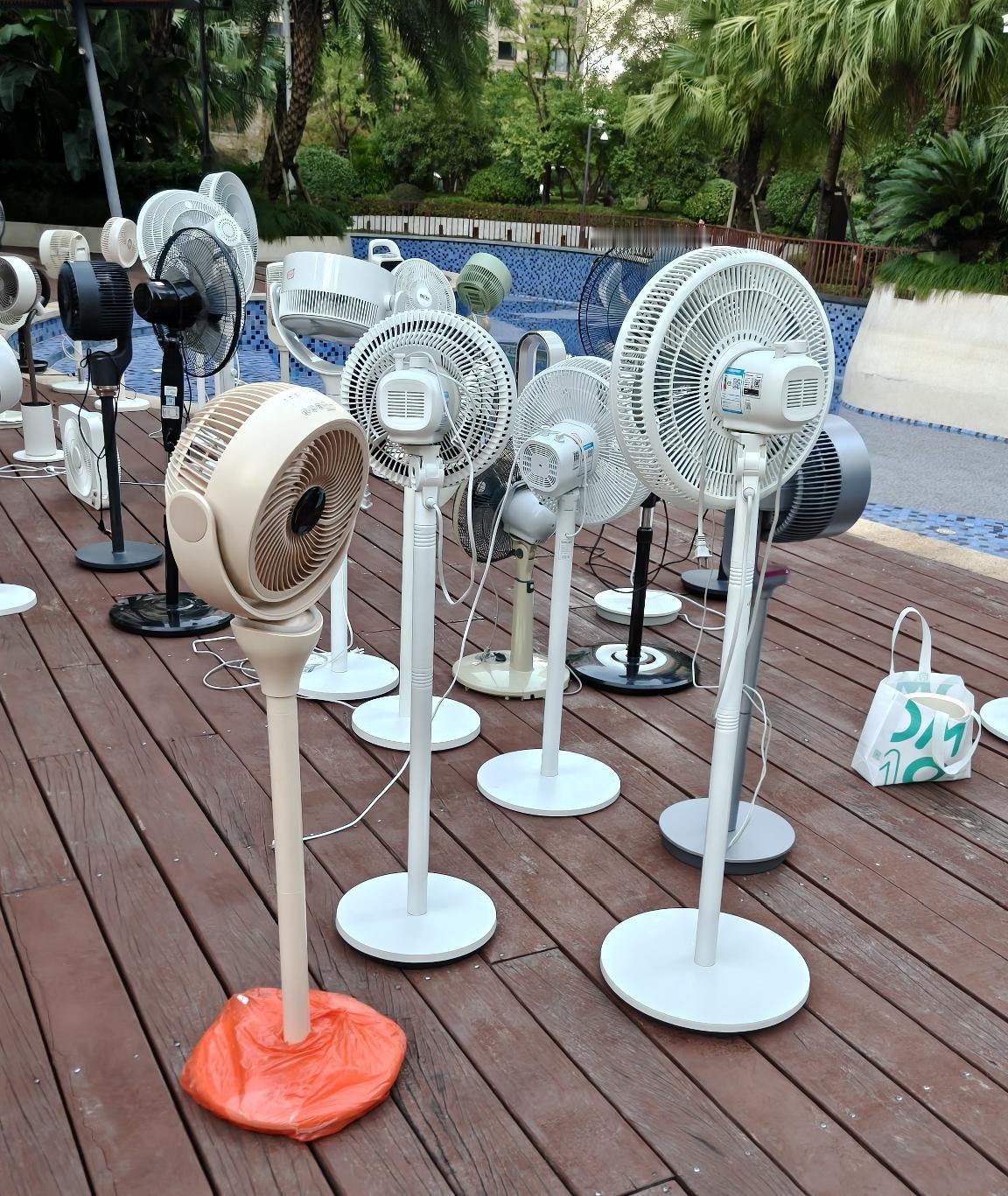 听说表妹住的小区办起了便民活动。还特意选了个格外有意义的日子。就是九九重阳节。给