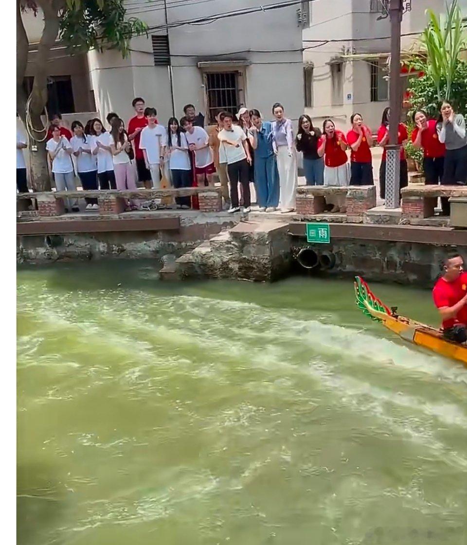 撒贝宁现场“打假”！叠滘“樊振东”扒龙舟火出圈，乒乓球只是他的副业撒贝宁cue樊