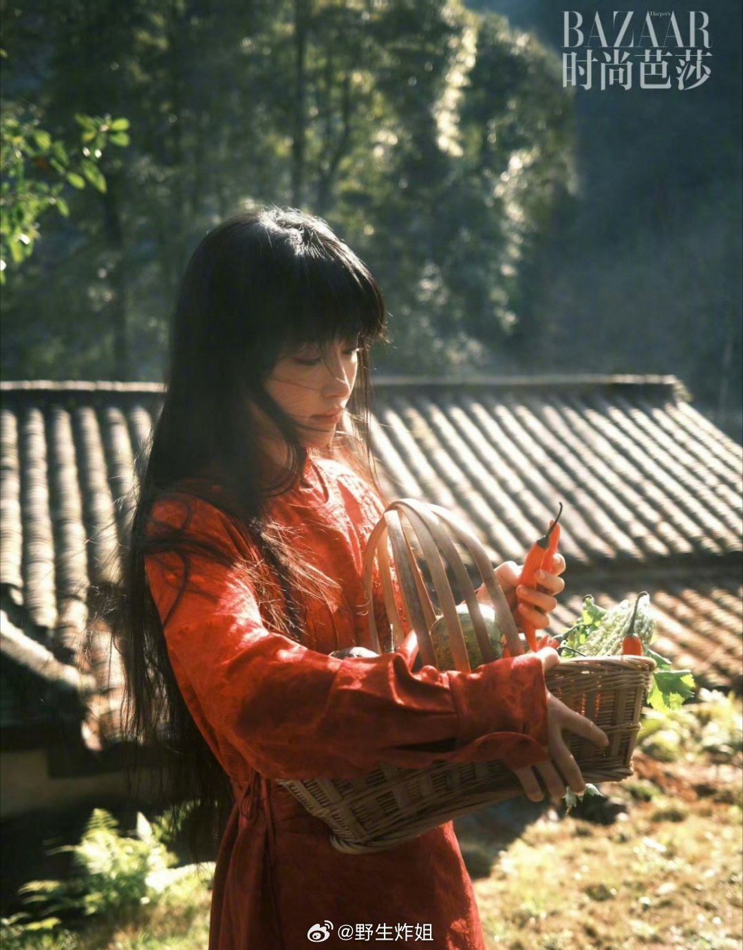 哇哦，李子柒要拍摄一部纪录片叫做《温室》，主要讲的是李子柒跟她奶奶之间的故事，突