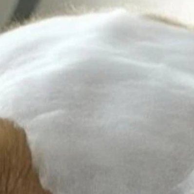 1200真正决定一个人成就的也不是运气，而是严格的自律和高强度的付出成功的秘密，
