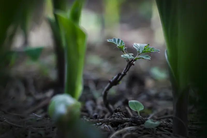 2026谷雨至，晨光启新章
北京时间4月20日09:38:51，谷雨携春雷而来，