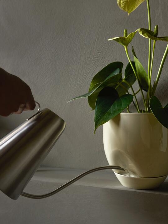 Hydrous花盆｜家中有植物，生活才有温度