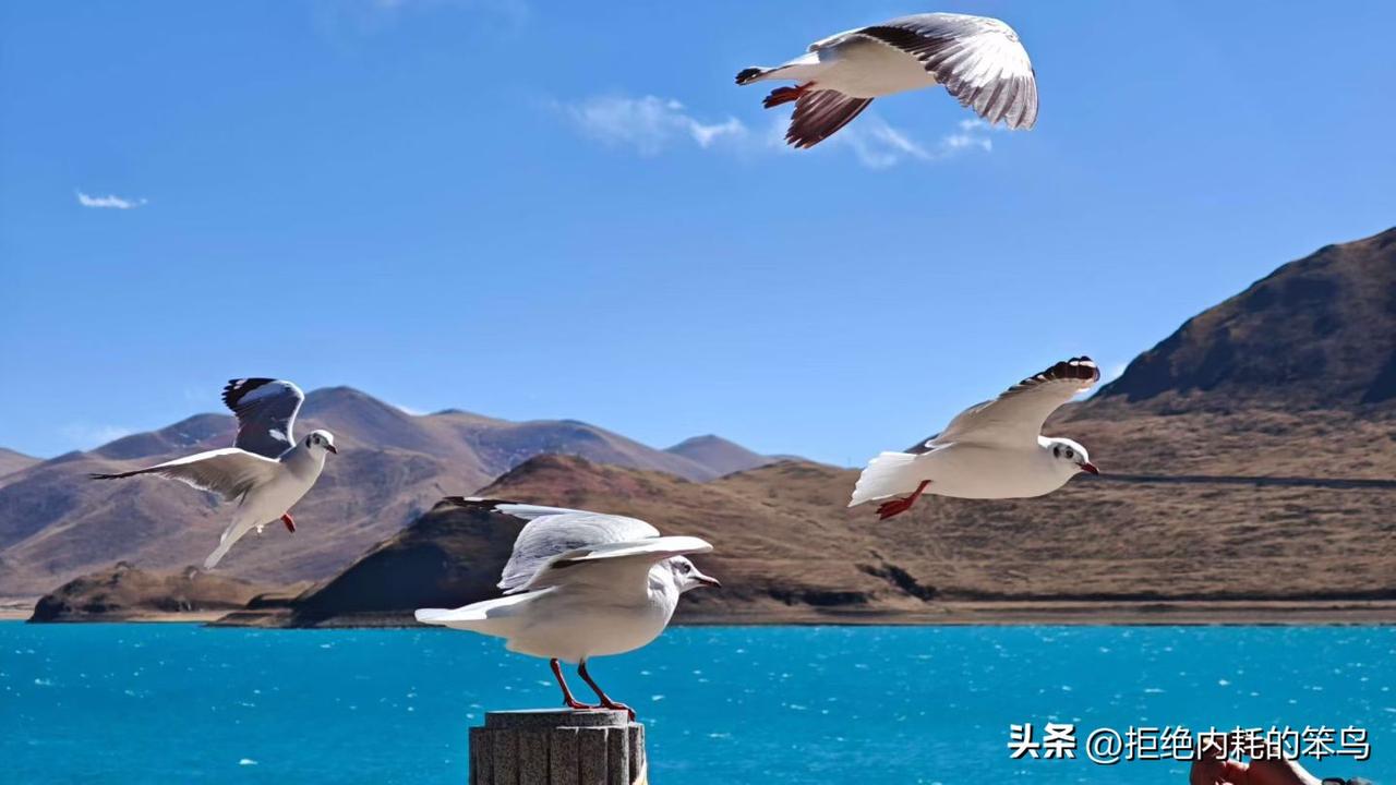 匆匆那年的纯真初恋是否还在心田?